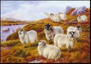unknow artist Sheep 063 oil painting on canvas